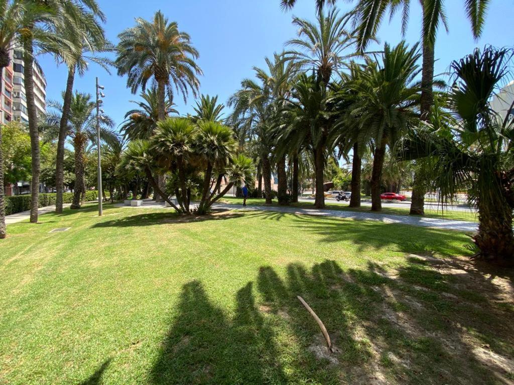 Tropical Loft Διαμέρισμα Αλικάντε Εξωτερικό φωτογραφία