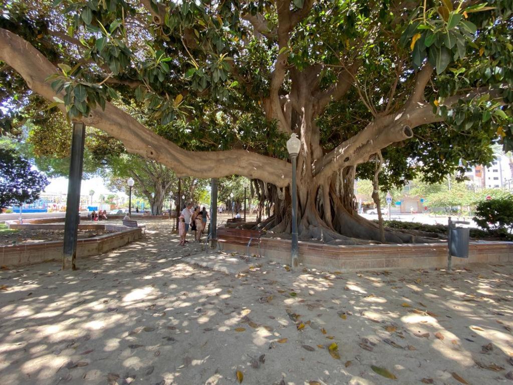 Tropical Loft Διαμέρισμα Αλικάντε Εξωτερικό φωτογραφία